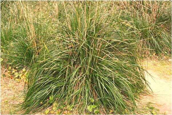 夢到肚中孩子早意味著什麼_周公解夢官網