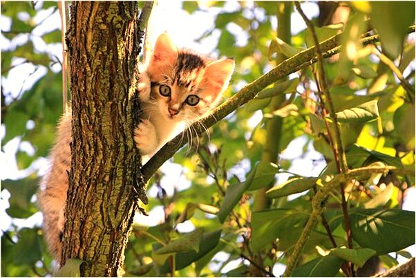 夢到了老婆移情別戀還被我打預兆了什麼嗎_周公解夢官網