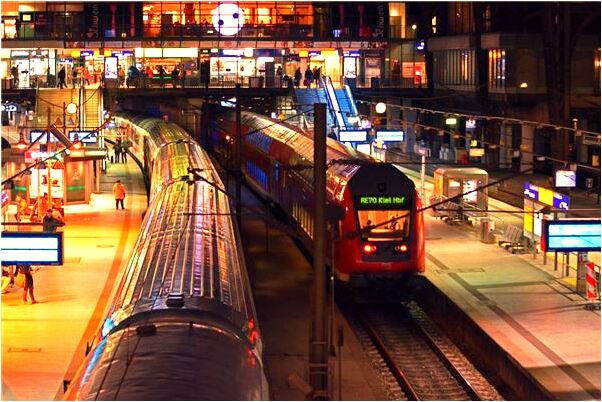 夢見野獸要進屋是啥預兆_周公解夢官網