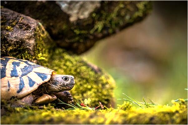 夢到女孩男朋友發生性是怎么回事_周公解夢官網