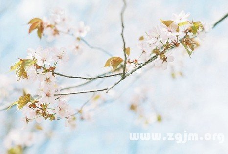 12星座女生肯為愛犧牲什麼？_十二星座