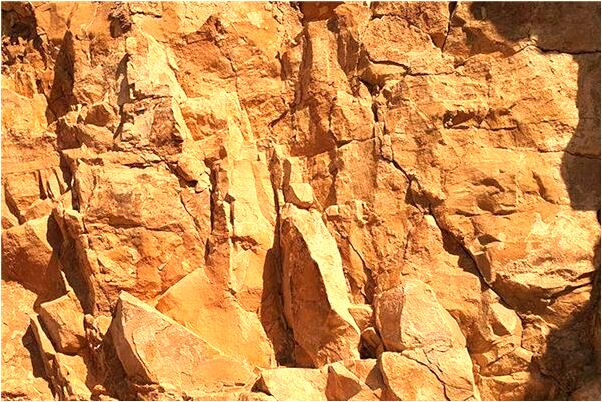 夢見別人把貓皮拔了代表什麼_周公解夢官網