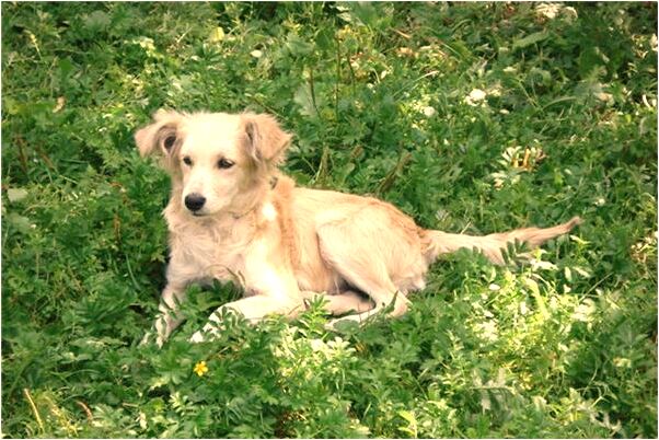 夢到看到同事結婚有什麼預示嗎_周公解夢官網