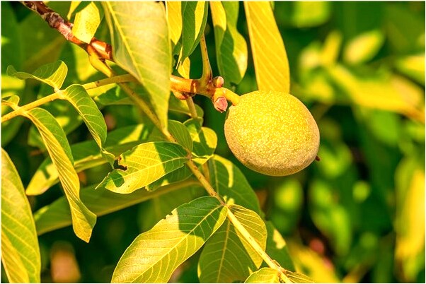 夢到與異性好友做愛是什麼意思_周公解夢官網