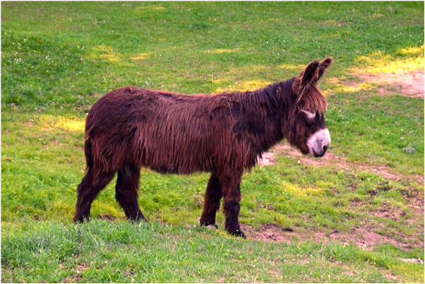 夢到一片紅床是好的徵兆嗎_周公解夢官網