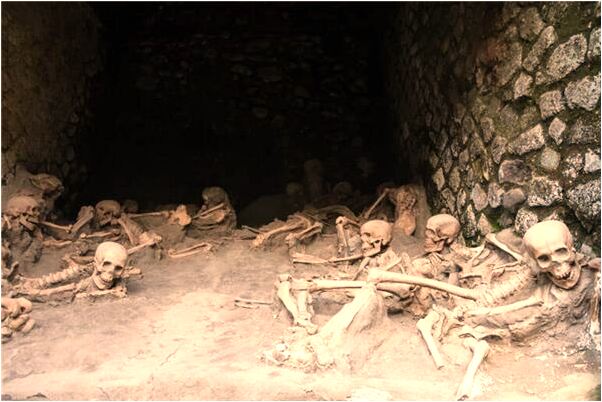 夢到掐貓貓不死代表什麼_周公解夢官網