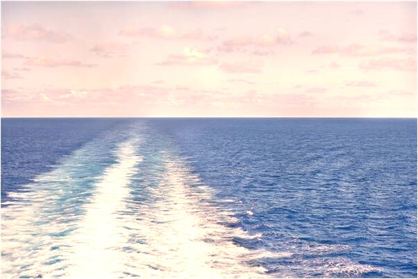 夢見賣彌猴桃預示什麼_周公解夢官網