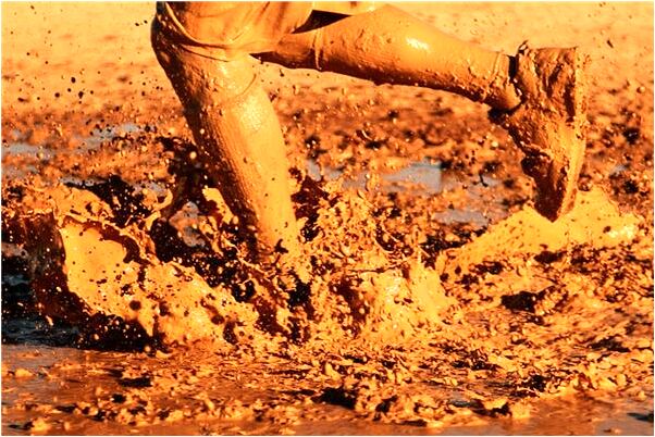 夢到鳥飛劍型會有什麼預兆_周公解夢官網