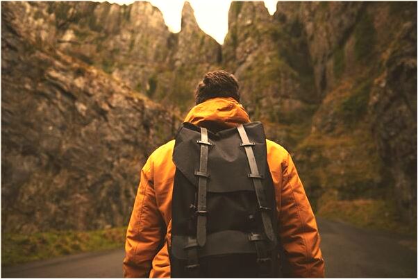 夢到了蟾蜍闖入被窩裡是什麼徵兆_周公解夢官網