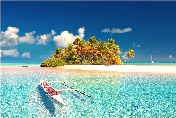 夢見蓮藕做的饅頭有什麼預示嗎_周公解夢官網