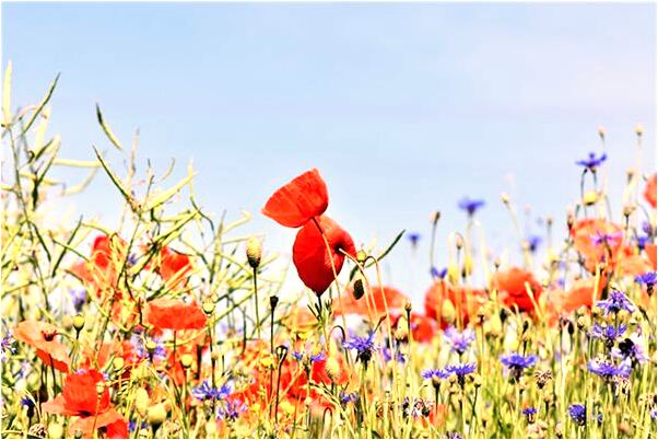 夢到被過世的外婆掐住脖子意味著什麼_周公解夢官網