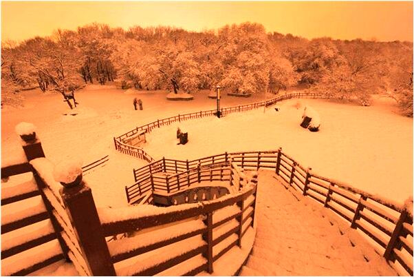 夢見老師聊天有什麼寓意嗎？_周公解夢官網