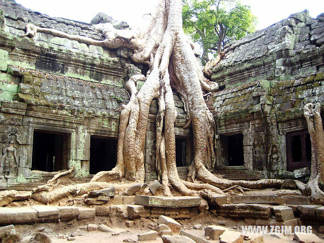 夢見頭髮被別人拔光了_周公解夢夢到頭髮被別人拔光了是什麼意思_做夢夢見頭髮被別人拔光了好不好_周公解夢官網