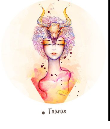 Taurus boys put marriage psychological _ the zodiac