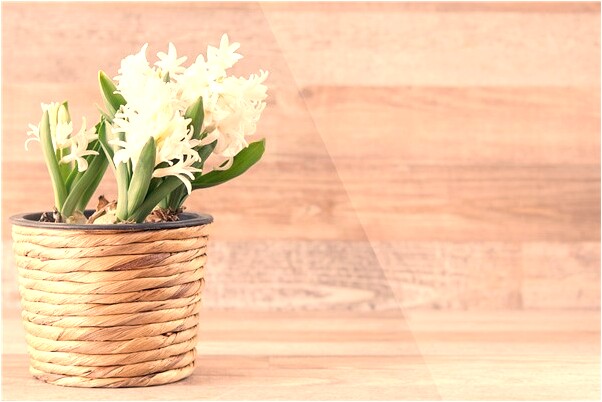 夢到別人依靠自己是什麼兆頭_周公解夢官網