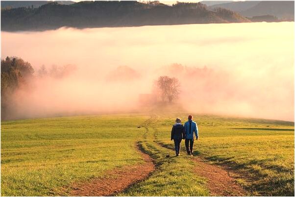 夢到猴子咬到胳膊是好是壞_周公解夢官網