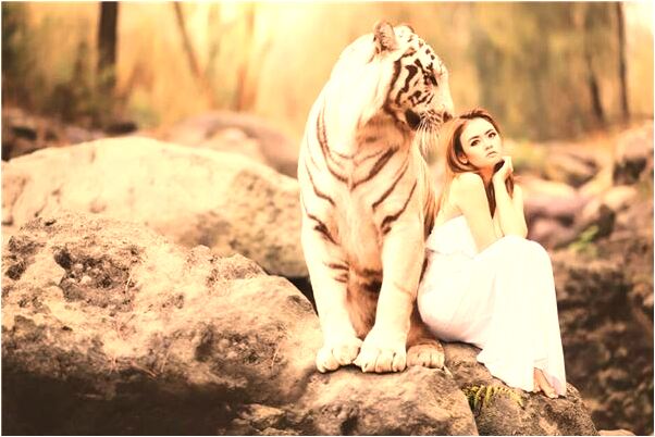 夢到了別人幫我捉頭上的虱是凶兆還是吉兆_周公解夢官網