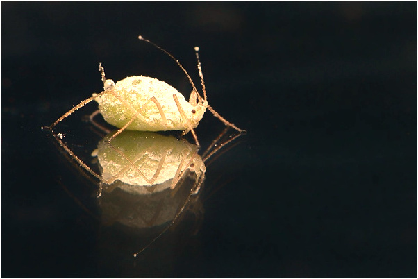 夢到了好姐妹喜歡我喜歡的男生是啥預兆_周公解夢官網