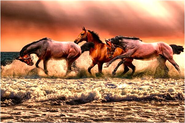 夢見過去喜歡的人是什麼預兆_周公解夢官網