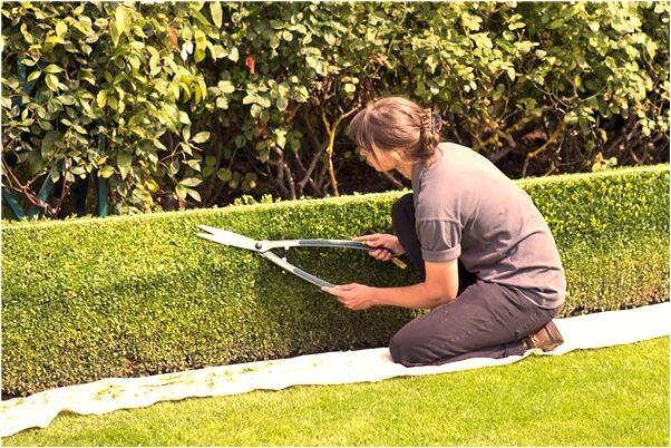 夢到天上下塵土雨是吉兆嗎?_周公解夢官網