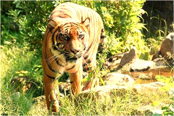 夢到自己跟別人做愛意味著什麼_周公解夢官網