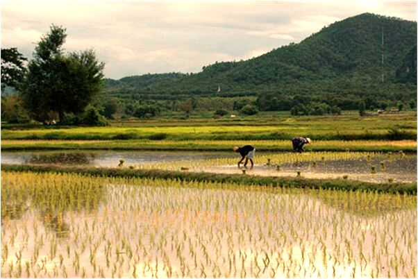 夢到了被逼爬高塔是好是壞_周公解夢官網