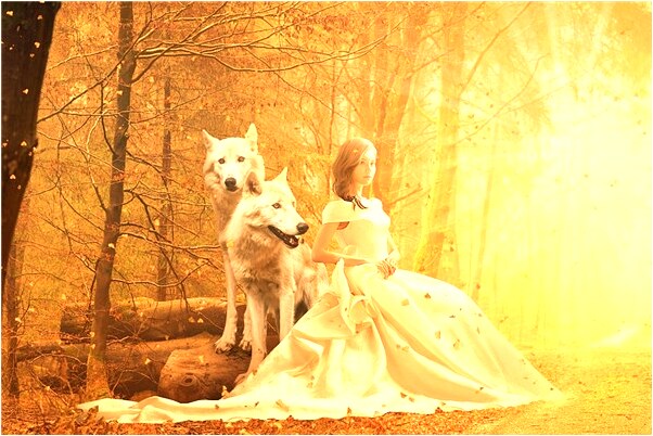 夢到兒子被車碰怎么樣_周公解夢官網