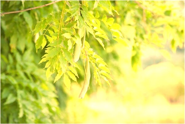 夢到夢和沒見過的小男孩的預兆_周公解夢官網