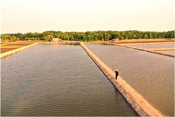 夢到了經常死去的男同學是什麼徵兆_周公解夢官網