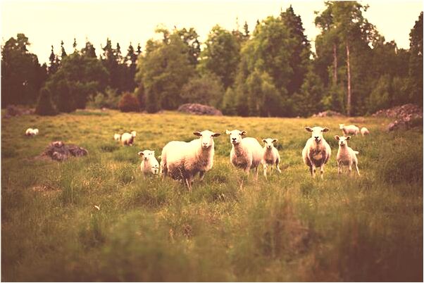夢到了自己一身粑粑有什麼預兆_周公解夢官網