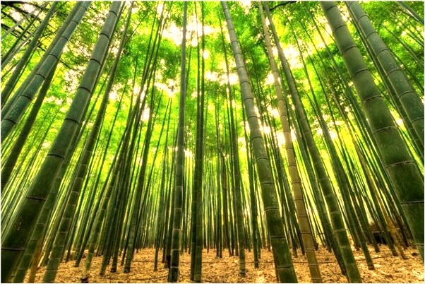 夢到別人喜歡自己自己感到反感什麼寓意_周公解夢官網