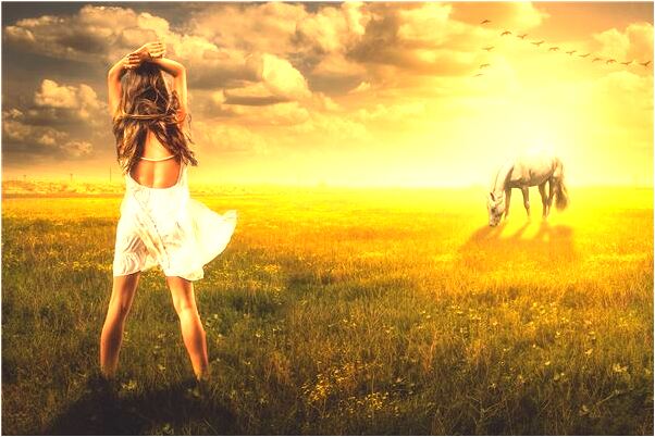 夢見桃樹著火怎么回事_周公解夢官網