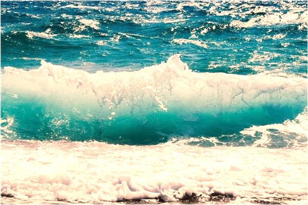 夢見蠍子夾臉是什麼預兆_周公解夢官網