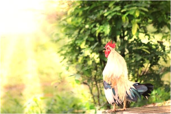 夢到一束光照到地上什麼寓意_周公解夢官網