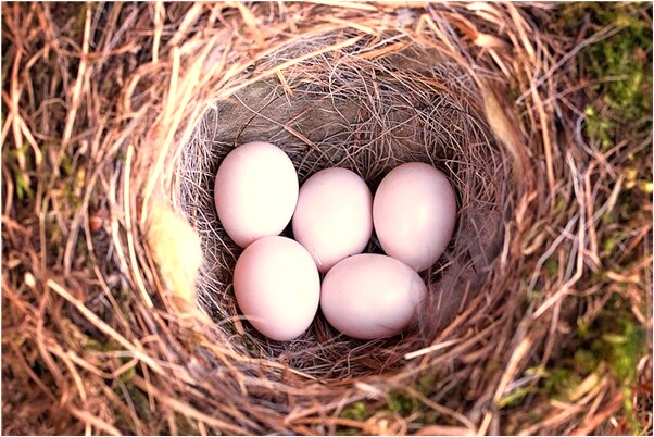 夢到和去世的親人打架有什麼含義_周公解夢官網