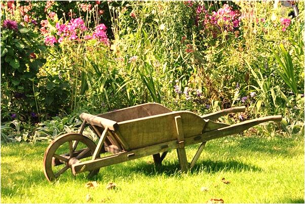 夢到了父親眼睛看不到了是什麼預兆_周公解夢官網