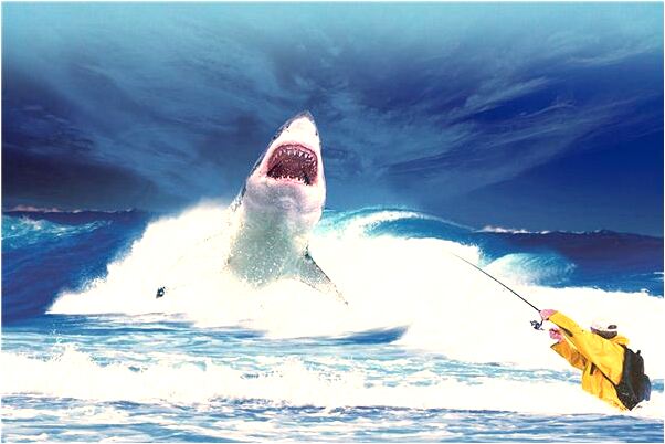 夢到了玩具車模會是什麼預兆_周公解夢官網