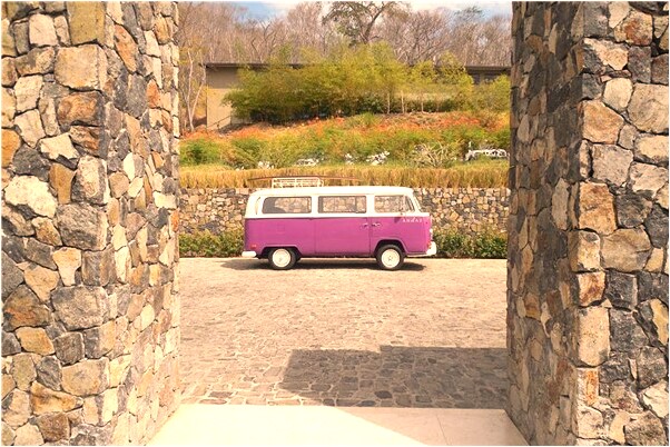 夢到了死去的親人打傘有什麼含義_周公解夢官網