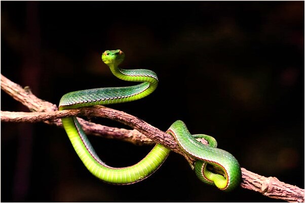 夢見死人跟我要錢是怎么回事_周公解夢官網