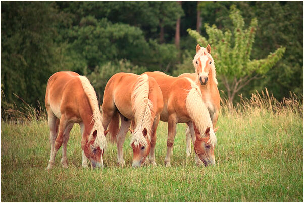 夢到自己眼睛看不清是什麼預兆_周公解夢官網