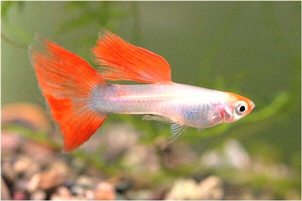 夢到了和三個女人做愛是好事還是壞事_周公解夢官網