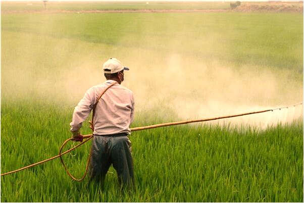 夢見兒子不理我是咋回事_周公解夢官網