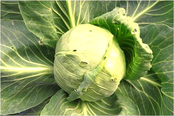 夢到了老婆離開了我好不好_周公解夢官網