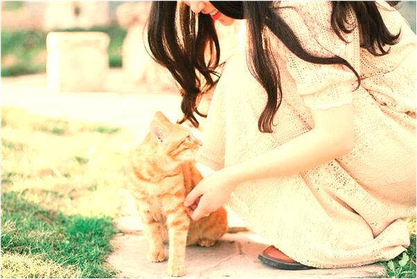 夢到與女兒插花預示著什麼_周公解夢官網