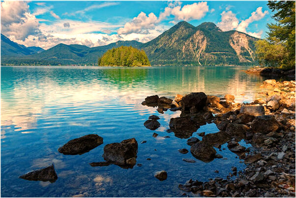 夢見蟲子進皮膚里是凶兆還是吉兆_周公解夢官網