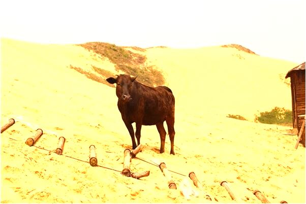 夢見男朋友跟別的女的接吻什麼預兆_周公解夢官網