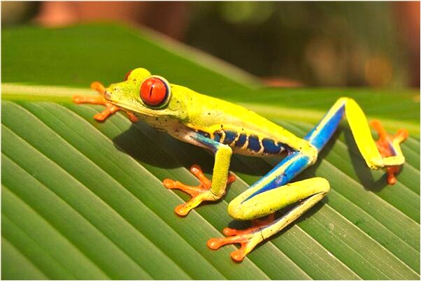 夢到馬路坍塌預兆了什麼嗎_周公解夢官網