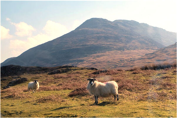 夢到了一個女孩愛我的預兆_周公解夢官網