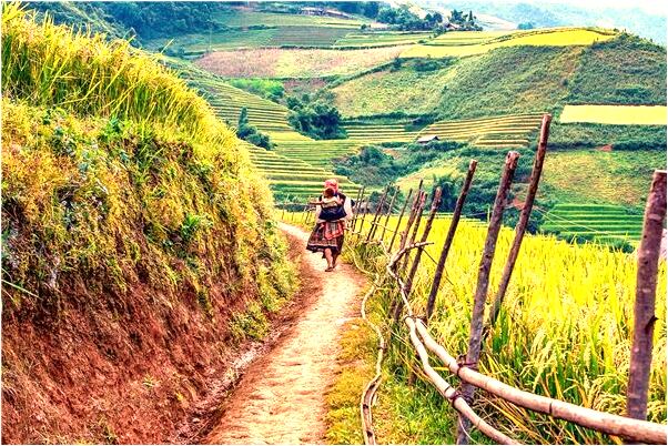 夢到了躲起來找人有什麼寓意嗎_周公解夢官網