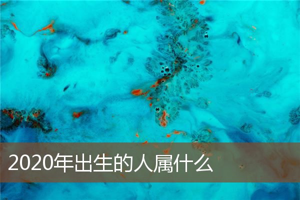 2020年出生的人屬什麼_十二生肖